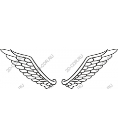  Elegant wing