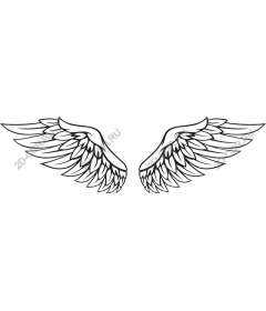  Elegant angel wings