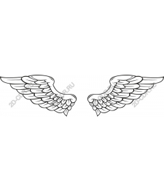  Elegant angel wings