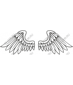  Elegant angel wings