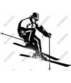 Dynamic skier