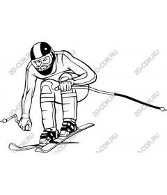 Dynamic competitive skier