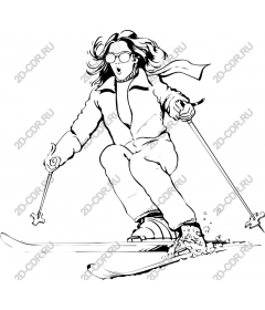 Dynamic skier