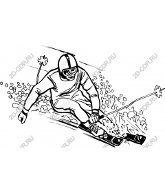 Dynamic skier