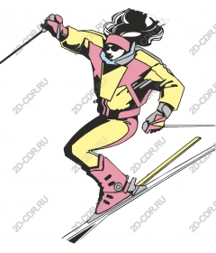  Stylish skier
