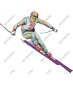 Dynamic competitive skier