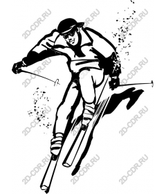 Dynamic skier