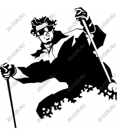  Stylish skier
