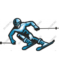 Dynamic skier