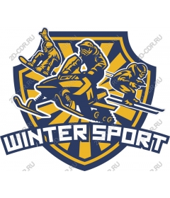 Winter sport