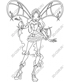  Fancy fairy