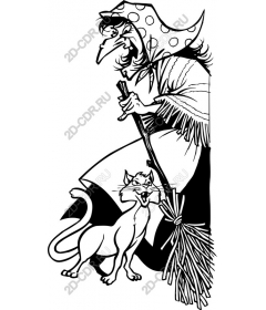  Fancy witch and cat