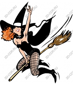  Energetic witch on a broom