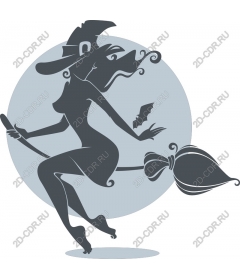  Adorable witch on broomstick