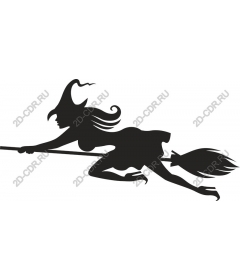 Witch on a broom