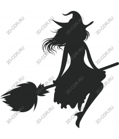 Witch on a broom