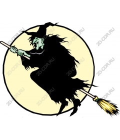 Witch on a broom