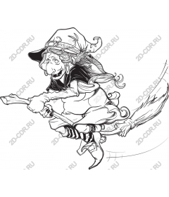  Fancy flying witch