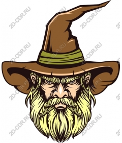  Wizard hat