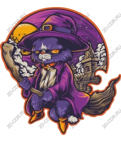  Fancy black cat-sorcerer