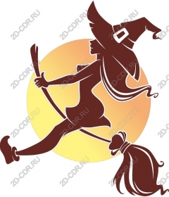  Stylish witch on a broom