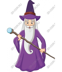  Fancy wizard
