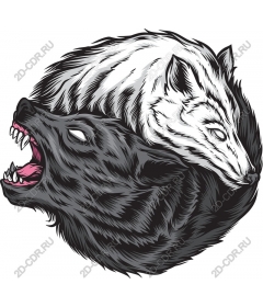 Double wolf — fierce and calm