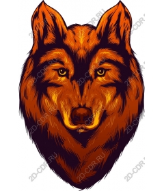 Majestic wolf head