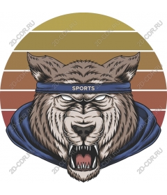  Ferocious Panther Sports