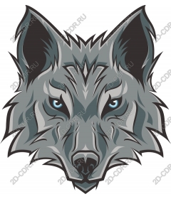 Majestic wolf head