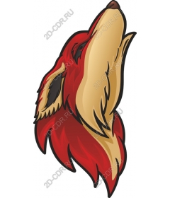  Bright howling Fox