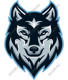 Head ferocious wolf
