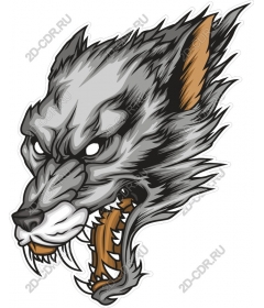 Head ferocious wolf