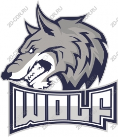  Fierce Wolf running
