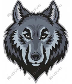 Head ferocious wolf