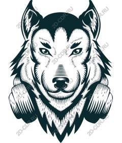  Наушники Fierce Wolf