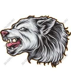 Head ferocious wolf