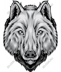 Wolf head