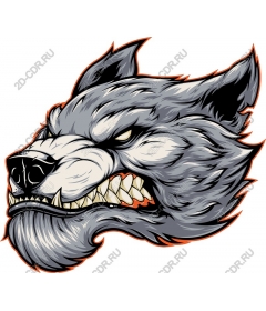 Head ferocious wolf