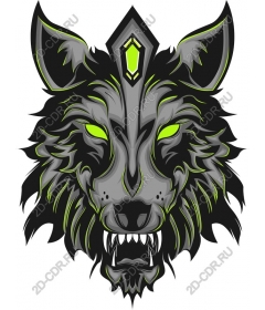 Head ferocious wolf