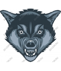 Head ferocious wolf