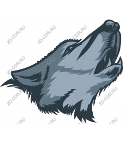 The howling wolf