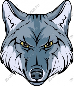  Голова свирепого волка