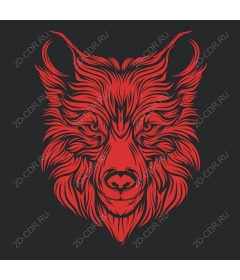  Fierce Red Wolf