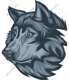 Majestic wolf head