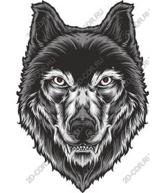  Cruel job of Head of Wolf