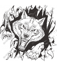  Fierce wolf breaks through a wall