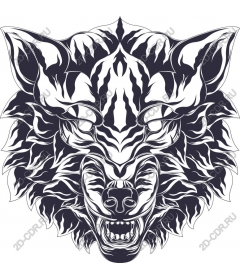 Head ferocious wolf