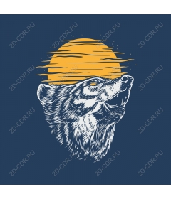 Majestic wolf howls at sunset