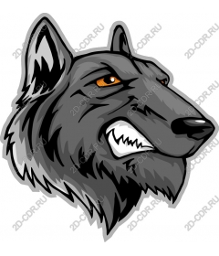 Head ferocious wolf